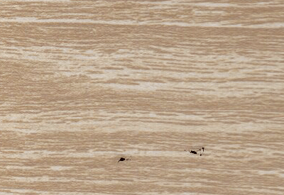 Ahşap Kartela - 9410-209akcaagac